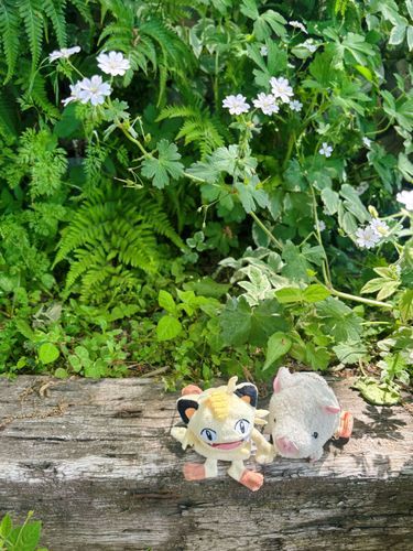 今日は主はお仕事！💫
僕らも付き添うけど、お話する仕事はずっと喋りっぱなしで大変そうだな〜