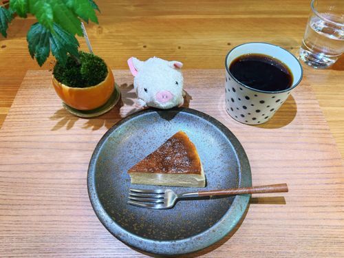 主は今日嫌な予定を終えて、一緒に大好きなカフェに行ったよ！
初夏の限定珈琲と、スモーキーな味のする大人なチーズケーキ💕
強い香りの二つが合わさって素晴らしい味わいだったよ、店主さんのおすすめだったんだ〜✨