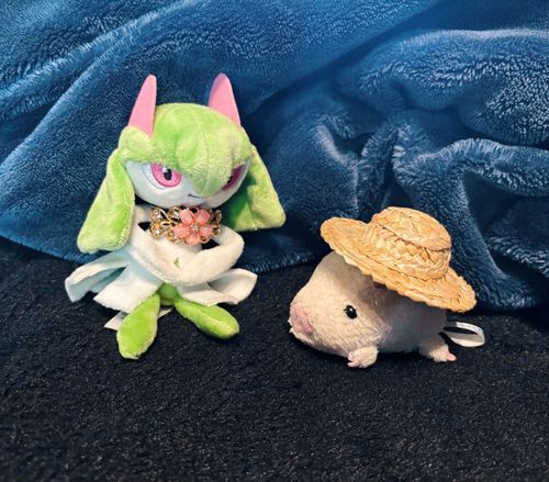 キルリアのほよさんと！🍀
僕は夏らしいお帽子をゲットしたよ、夏といえばこれだよね！✌️