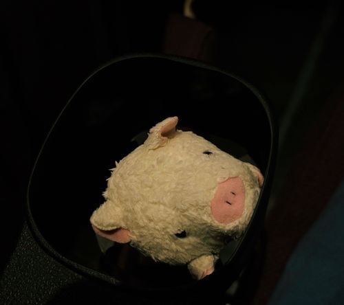 とってもわかりづらいけど、今日は映画を見に行ったんだ！✨
ちいかわの映画だよ〜、すごく良かった！　セイレーンちゃんのぬいが仲間入りしたよ〜、その内紹介させてね💕