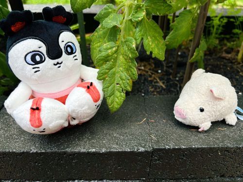 うふふ、セイレーンちゃんと一緒に！✨
セイレーンちゃんは永遠の命…？について考えてるみたいだけど、なんのことだろう…？？