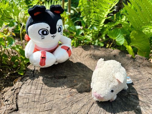 皆おはよ〜、セイレーンちゃんと一緒に！✨
毎朝畑のチェックをして、金魚やメダカちゃん達に餌をあげる…それが日課！🍅