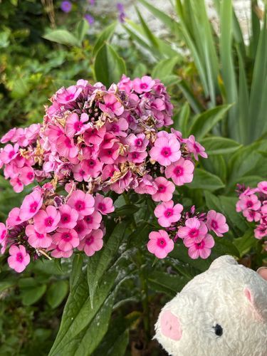 皆おはよう〜！🍀
昨日の夜はバーベキューに花火と夜更かしだった僕達…まだちょっと眠いかな🥱