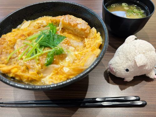 今日から主は研修で僕達四国にお邪魔してるよ！✨　これはPで食べたごはんだよ〜、途中雨がすごかった！☔️