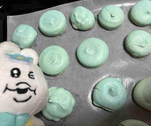 まろが、ちゃむにマカロン焼いてくれたちゃむ〜！！！(*^ω^*)
色がちゃむ色🩵で、とってもおいしかったちゃむ〜〜♡♡
