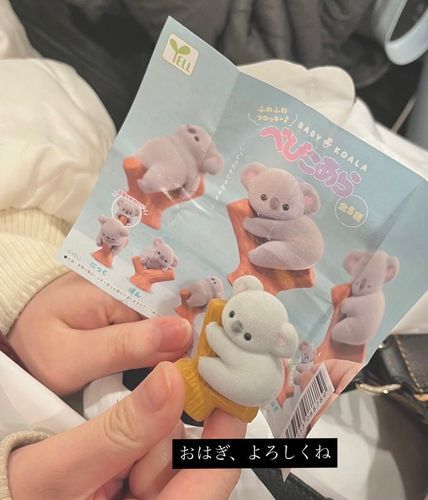 今は行方不明のおはぎ泣
最初の出会い
