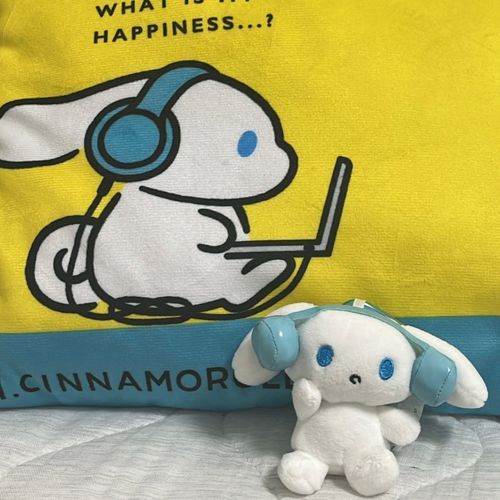 ついについについにお迎えしました！！！大大大好きなアイシナモ🫶
これから思い出いっぱい作ろうねシナモン。