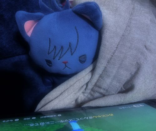 ズッキーニに似てる……？💭