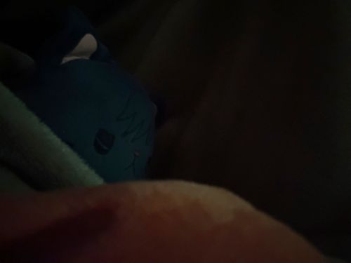 弟とサッカーみてる時のめぐにゃんさん