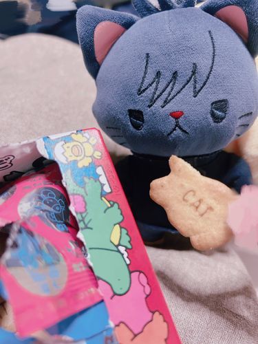 ねこちゃん？