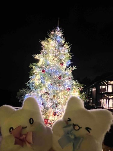 まるまる「キラキラなの〜♪」
まるまる「きれいなの〜✨」