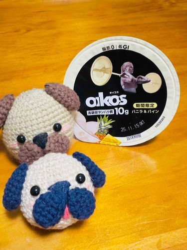 きょうのおやつ🐶🐶
オイコス
バニラ＆パイン🍍(期間限定)
はじめて食べたよ〜🐶🍍🐶
