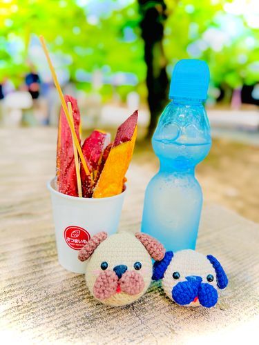 神社⛩️でまったり🍠🐶🐶
