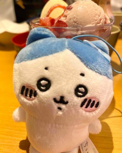 人生初のアイスを食べるハチワレちゃん
おいしい〜！☺️って言ってる