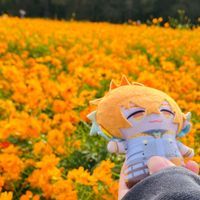 ﾊｽﾒﾛ