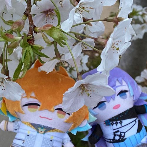 🌸