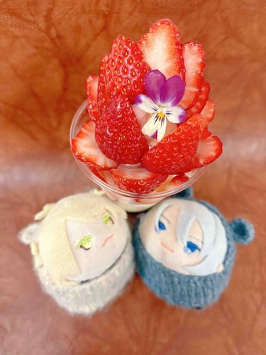🍓🍓🍓
いちごのぱふぇだよ！
はるっていいにゃ！