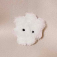 ほしのひと