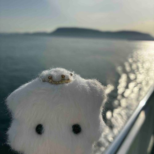 海の上にいます いい感じの風です