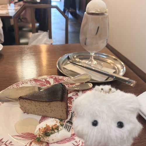 紅茶のチーズケーキとフロートを視察…