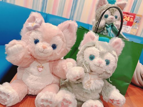 お友達のジェラジェくんが、我が家に新しい子を連れて来てくれました。

みるちゃん(🦊)とやさん(🐱)
今日からよろしくねえ。