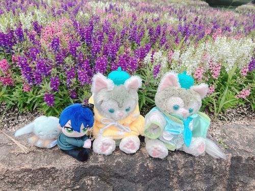 暑さでぬいも心なしかぐったりしていますねえ。