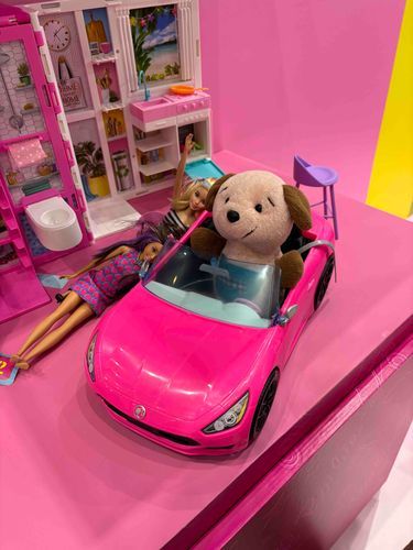 こら！バービーちゃんの車を強奪するんじゃない！