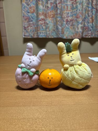ん…？
本当に仲間…？