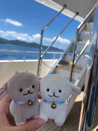 船に乗ったよ！