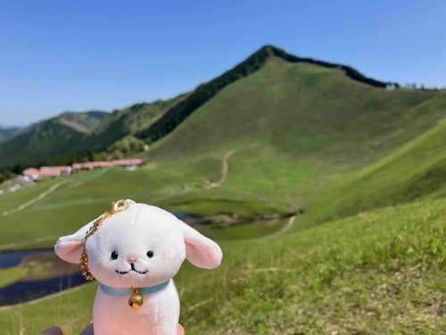 夏だね