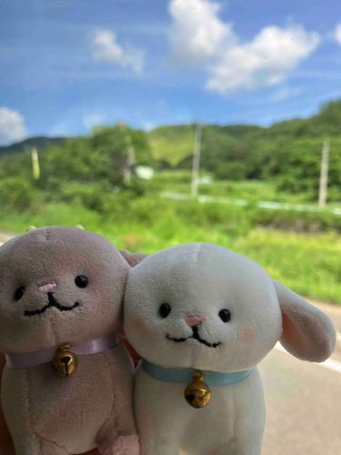 いなか