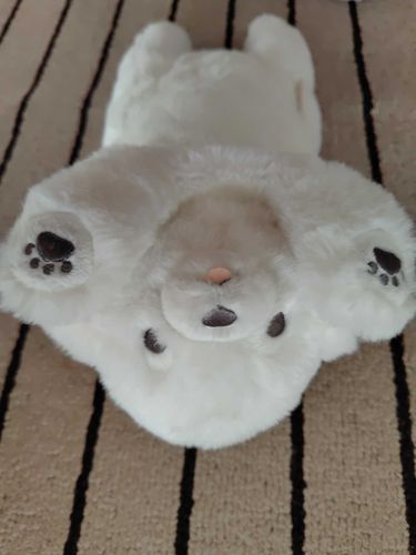 チョコちゃんのお友達のおもちくん🐶白くてフワフワで可愛い