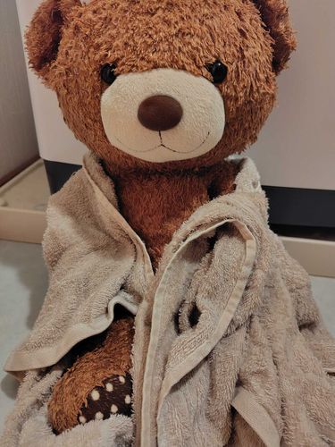 今日はチョコちゃんをお風呂に入れたよ🛀綺麗になってさっぱり✨
