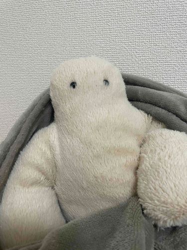 モコモコですが寒いらしいです