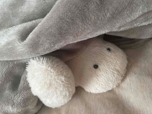 モフタンはまだ眠いようです