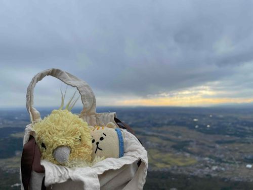 にゃんすけとことりを連れてお山にいってきました。山頂は寒いので袋の中から外を見たいようでした