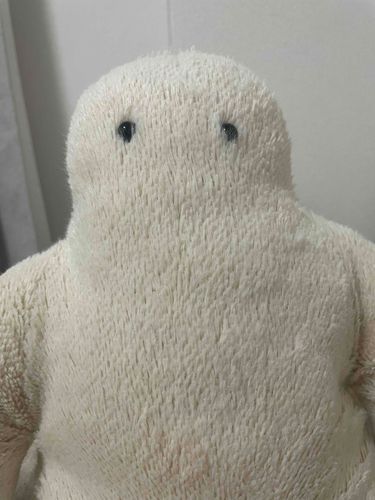 モフタンは外にお出かけがしたいんだそうです