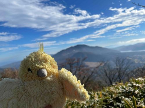 ことりとお山