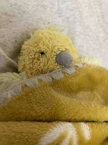とても眠いことり