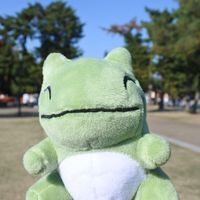 ポケモンとお出かけ記録