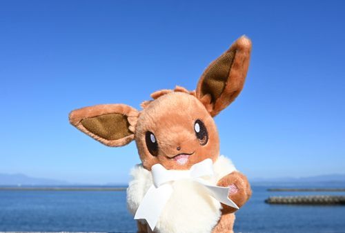 指宿の海とイーブイさん！
良いお天気だったね☀️

イーブイさんと旅した指宿の思い出その⑦