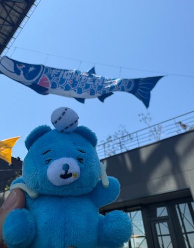えすこんふぃーるどの しゃけまるこいのぼりと とってくれたよ〜！！

いいおてんきだね☀️