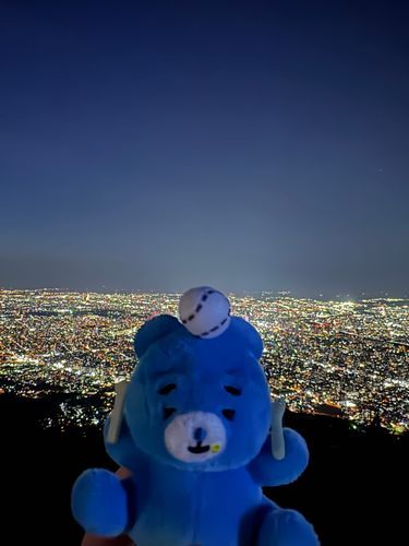 もいわやまで やけいをみたよ〜！！
きれいだったなぁ💭
いっしょに つれていってくれて
ありがとうだよ☺️