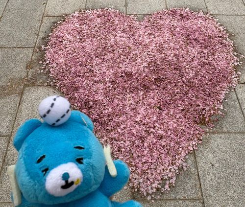 ぴんくの はーと と とってくれたよ〜
これはさくらかなぁ💭
いきだねぇ〜！！