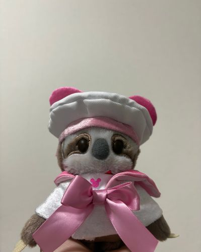 はじめまして！うちのフラッシュです！

着せてみたらすごい似合ってるけど、可愛すぎるかなぁ…？🥺
