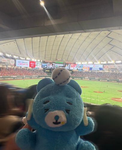 みんな〜 おひさしぶりだねー！
はじめての とうきょうどーむへいってたよー！

とうきょうどーむでも ぐるめ たのしんだよ😆