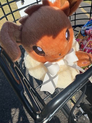 自転車カゴinイーブイさん！
一緒にポケふた巡りのサイクリングしたー！

イーブイさんと旅した指宿の思い出その①