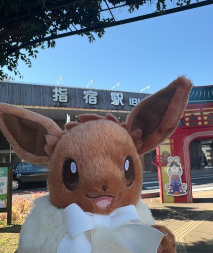 鹿児島のいぶすき！イーブイすきで指宿にゆかりがあるんだー！！

イーブイさんと旅した指宿の思い出その②