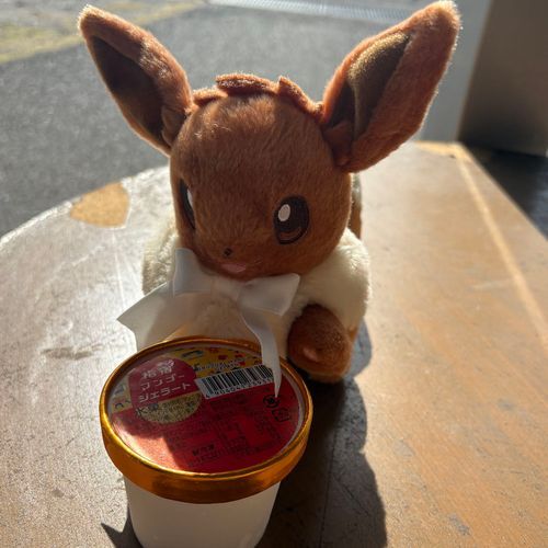 指宿マンゴージェラートで喜んでてカワイイ♡

イーブイさんと旅した指宿の思い出その④