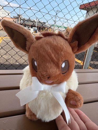（旅の途中で）おて！の特訓した！笑

イーブイさんと旅した指宿の思い出その⑧
